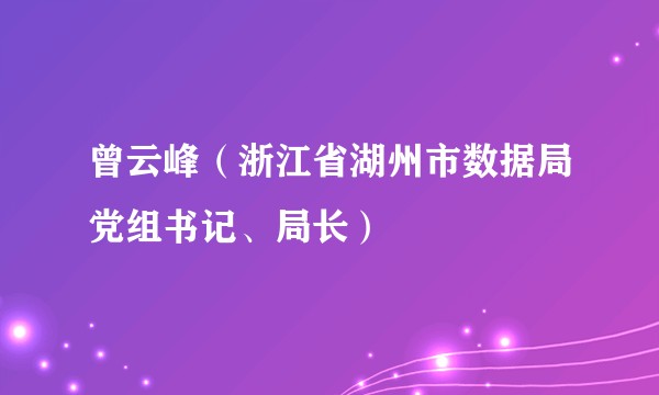 曾云峰（浙江省湖州市数据局党组书记、局长）