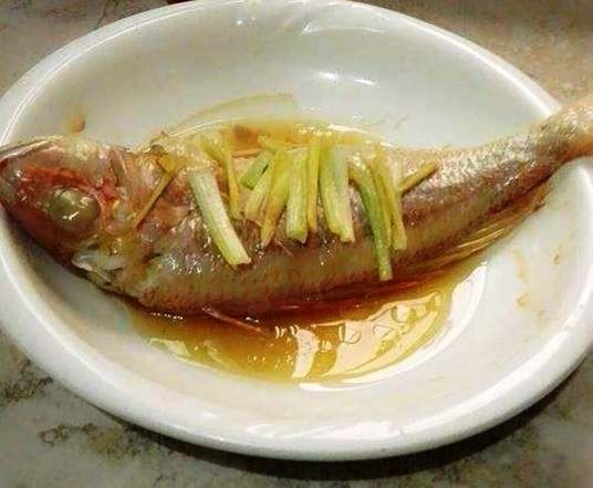 家常红杉鱼