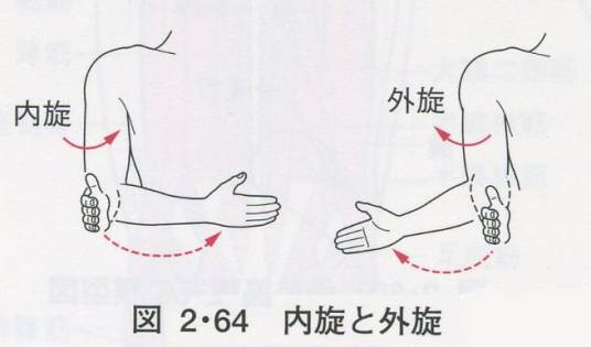 内旋