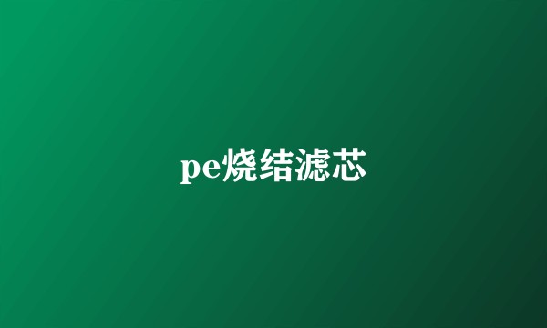 pe烧结滤芯