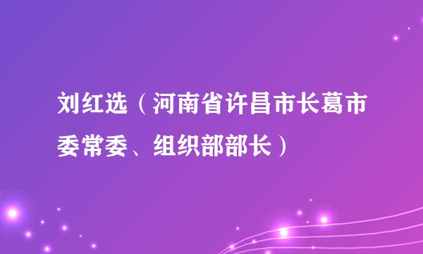 刘红选（河南省许昌市长葛市委常委、组织部部长）
