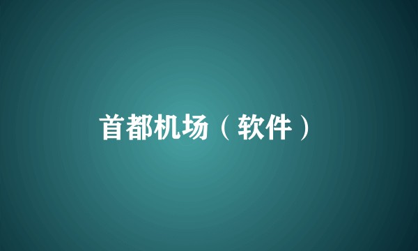首都机场（软件）