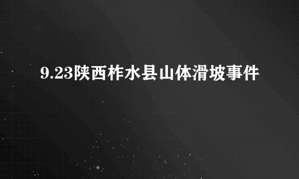 9.23陕西柞水县山体滑坡事件