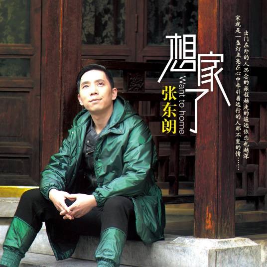 想家了（张东朗演唱歌曲）