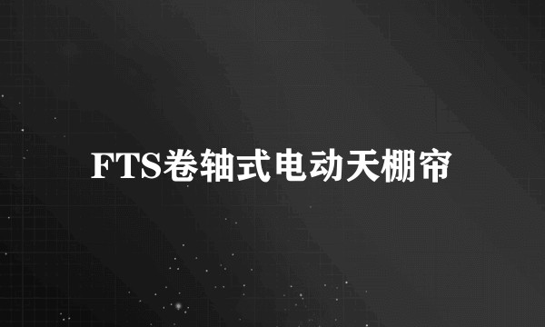 FTS卷轴式电动天棚帘