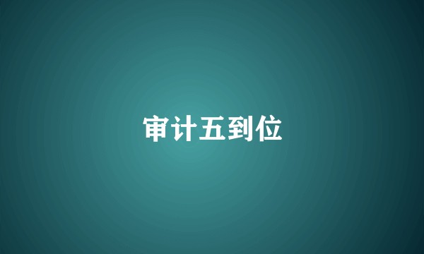 审计五到位