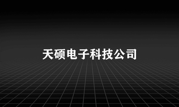 天硕电子科技公司