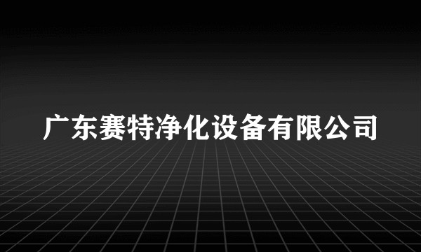 广东赛特净化设备有限公司