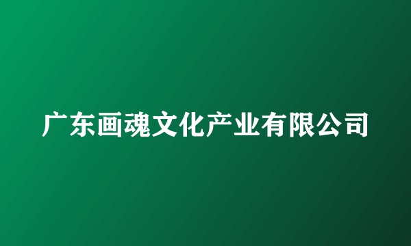 广东画魂文化产业有限公司