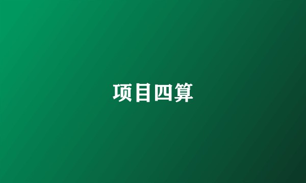 项目四算