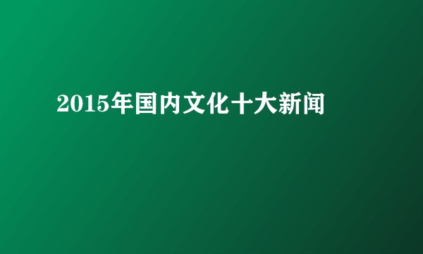 2015年国内文化十大新闻