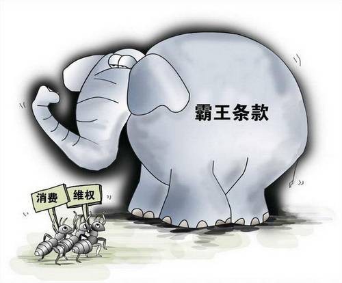 法律适用条款