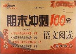 期末冲刺100分:语文阅读5年级