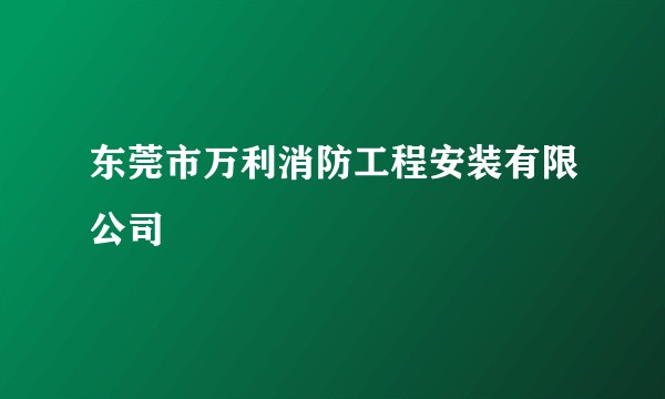 东莞市万利消防工程安装有限公司