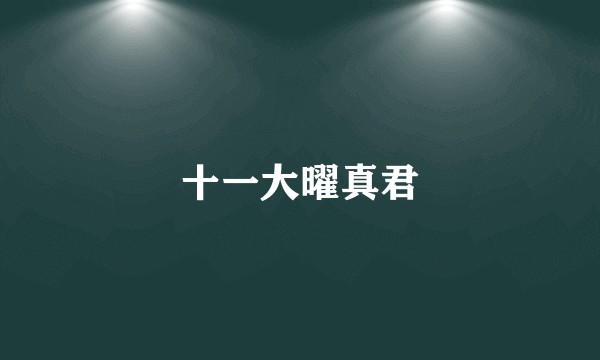 十一大曜真君