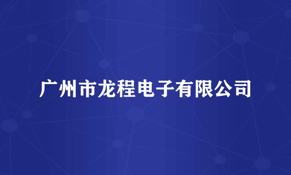 广州市龙程电子有限公司