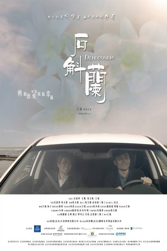 石斛兰（2014年上映的中韩合拍电影）