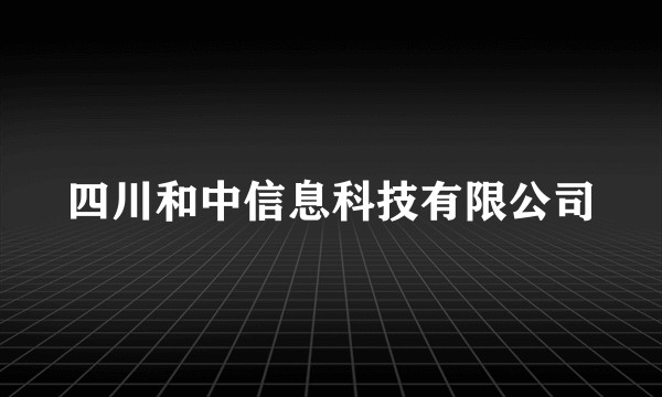 四川和中信息科技有限公司
