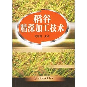 稻谷精深加工技术