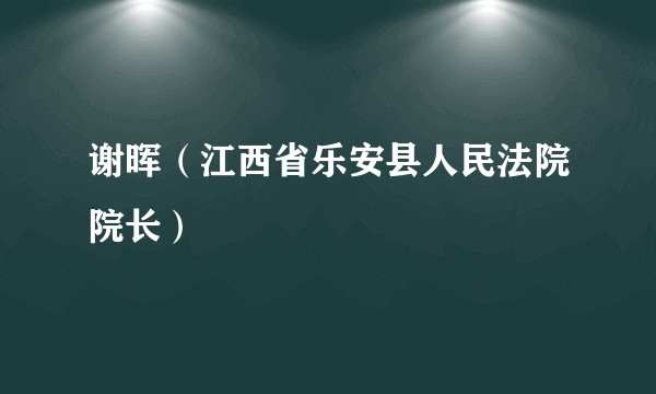 谢晖（江西省乐安县人民法院院长）