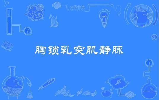 胸锁乳突肌静脉