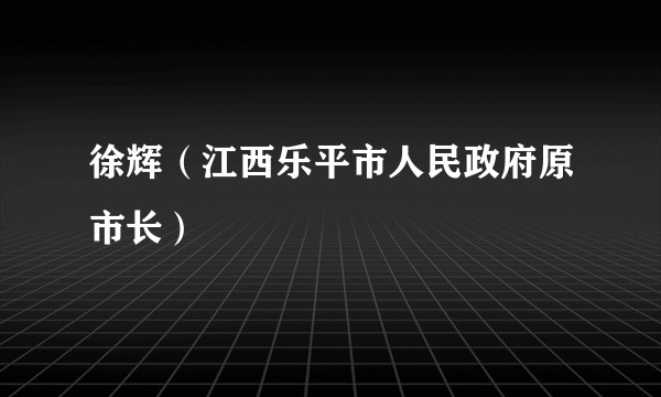 徐辉（江西乐平市人民政府原市长）