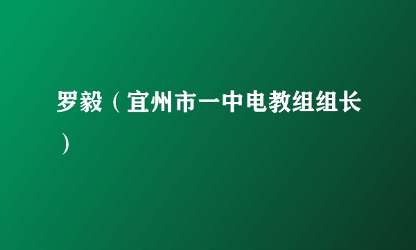 罗毅（宜州市一中电教组组长）