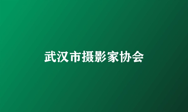 武汉市摄影家协会