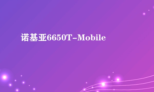 诺基亚6650T-Mobile