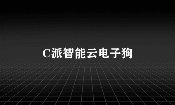 C派智能云电子狗