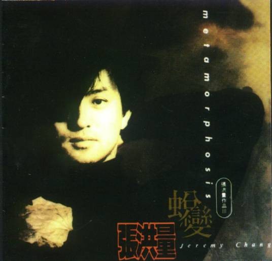 美丽的花蝴蝶（张洪量演唱歌曲）