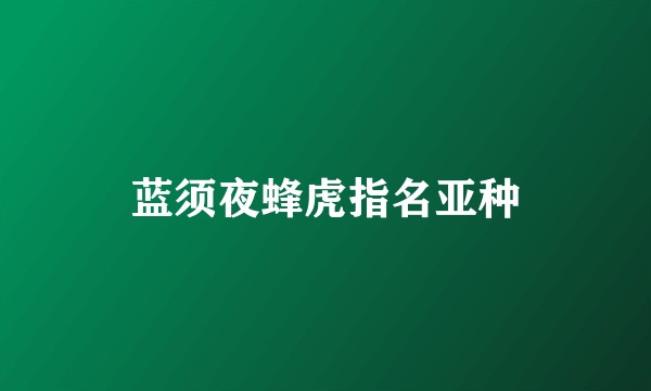 蓝须夜蜂虎指名亚种