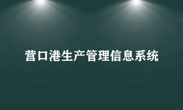 营口港生产管理信息系统