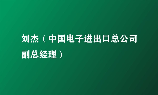 刘杰（中国电子进出口总公司副总经理）