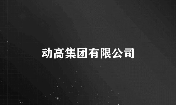 动高集团有限公司