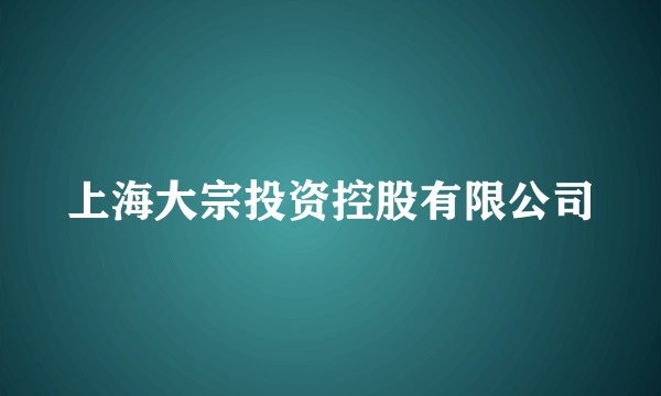 上海大宗投资控股有限公司