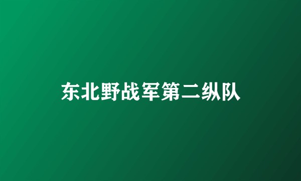 东北野战军第二纵队