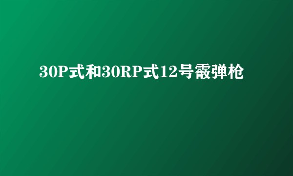 30P式和30RP式12号霰弹枪