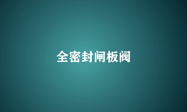 全密封闸板阀