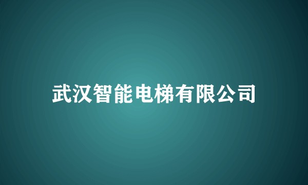 武汉智能电梯有限公司
