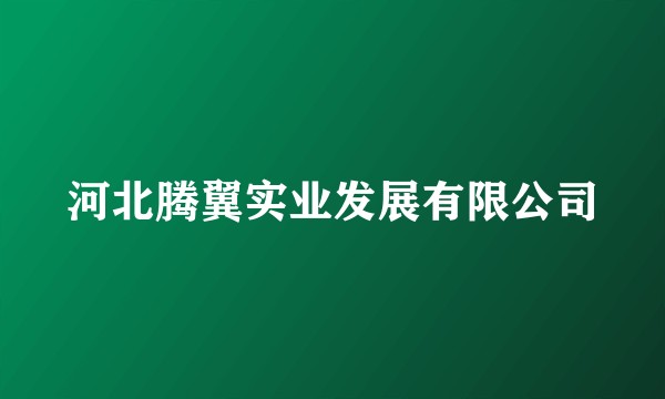 河北腾翼实业发展有限公司