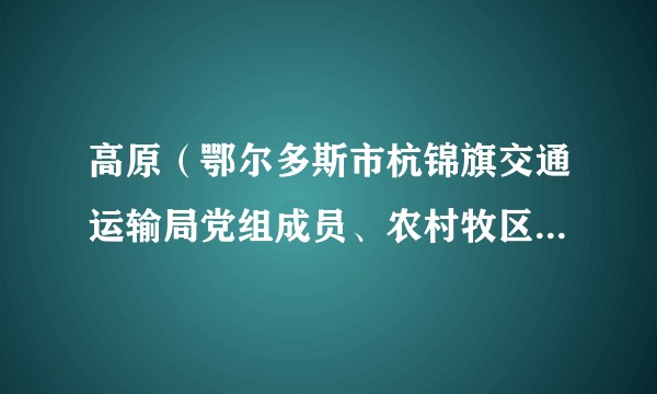 高原（鄂尔多斯市杭锦旗交通运输局党组成员、农村牧区养护管理所所长）