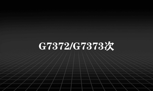 G7372/G7373次