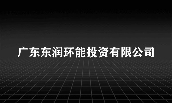 广东东润环能投资有限公司