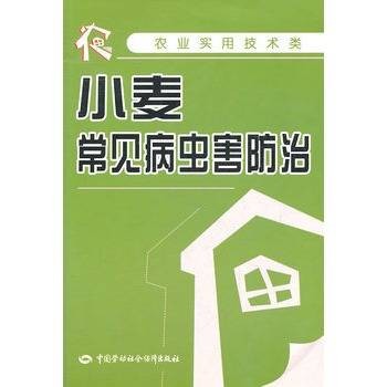 小麦常见病虫害防治