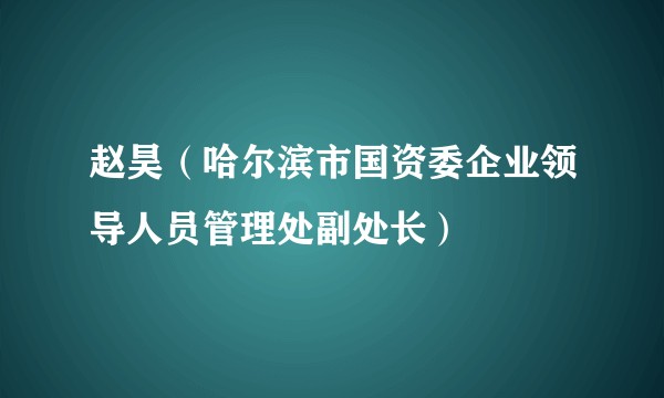 赵昊（哈尔滨市国资委企业领导人员管理处副处长）