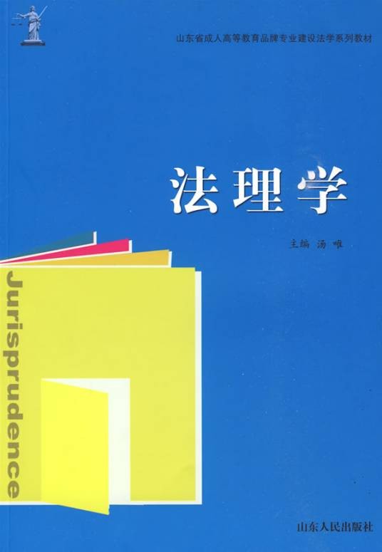 法理学(2009年山东人民出版社出版的图书)