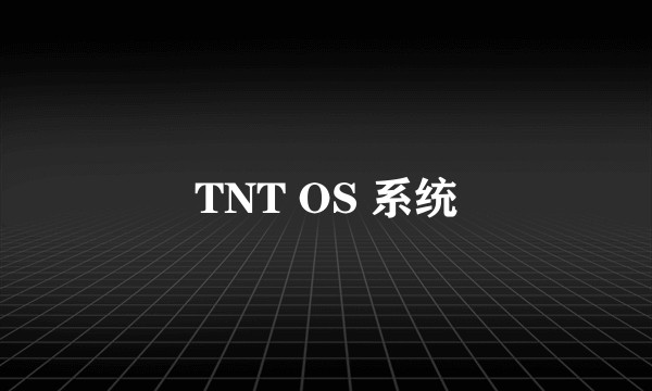 TNT OS 系统