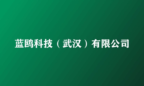 蓝鸥科技（武汉）有限公司