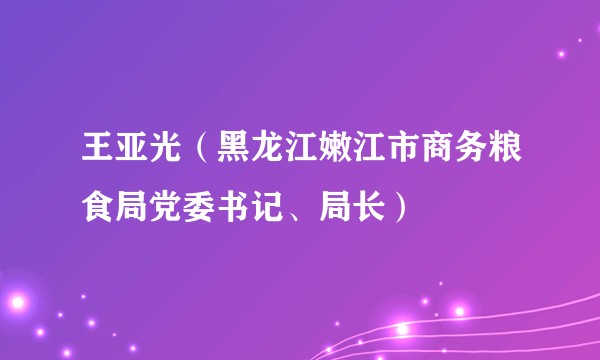 王亚光（黑龙江嫩江市商务粮食局党委书记、局长）